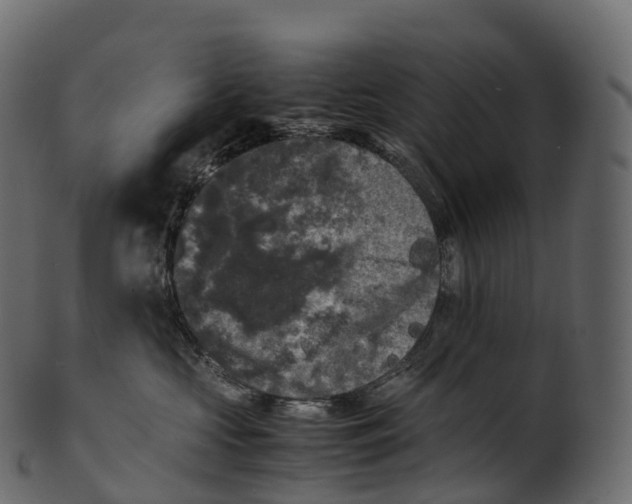 X0000100490573200807031919