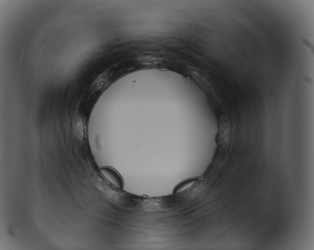 X0000100490574200807031919