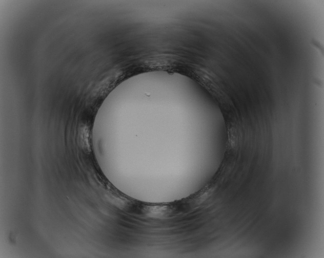 X0000100490575200807031919