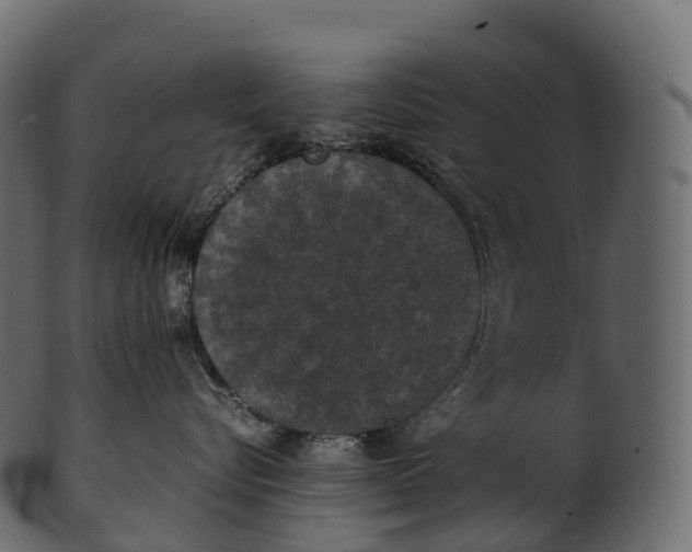 X0000100490576200807031919