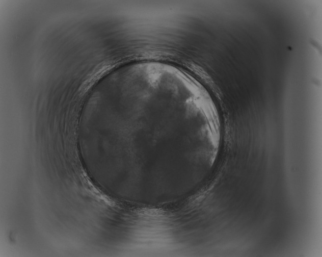 X0000100490577200807031918