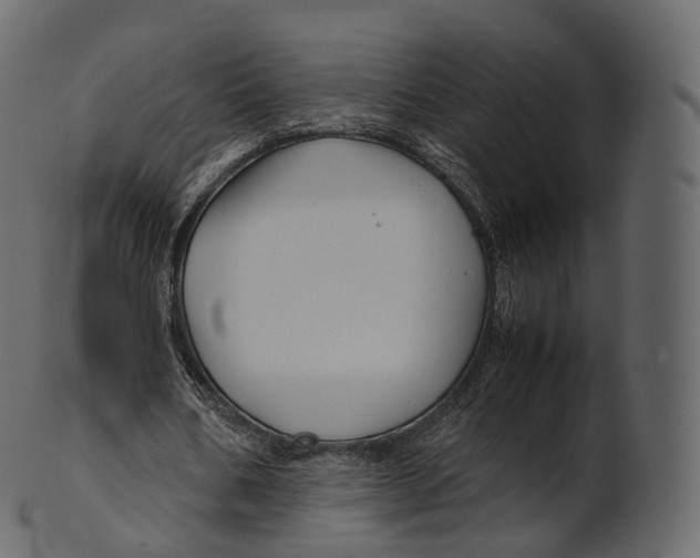 X0000100490578200807031918