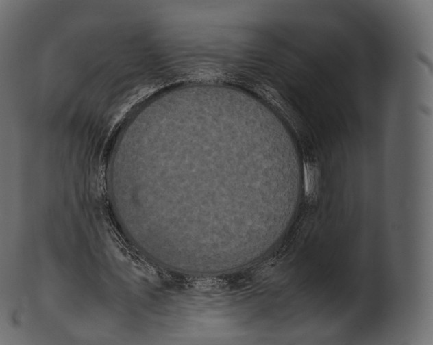 X0000100490579200807031918