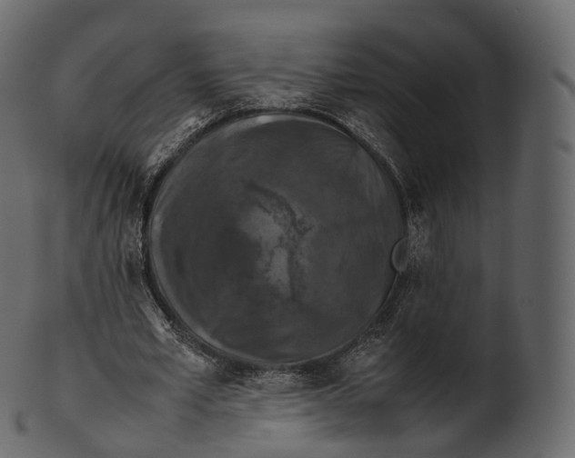 X0000100490581200807031918