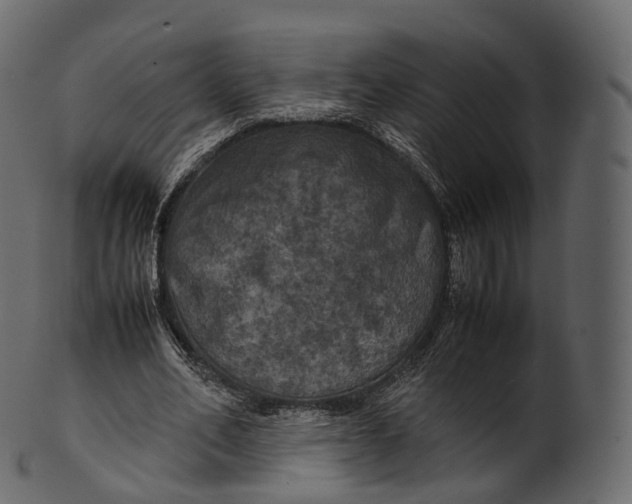 X0000100490582200807031918