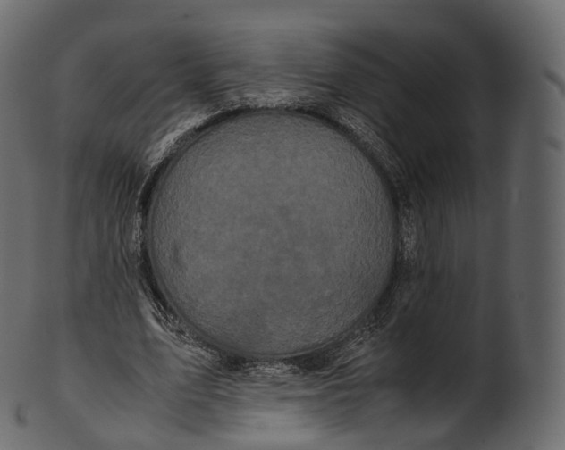 X0000100490583200807031918