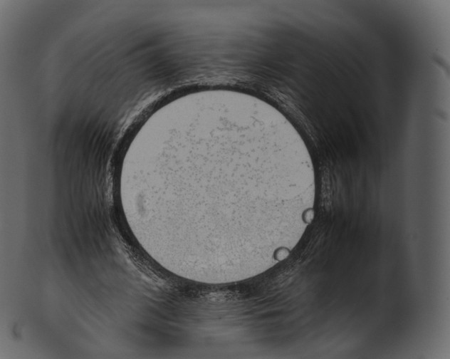 X0000100490584200807031918