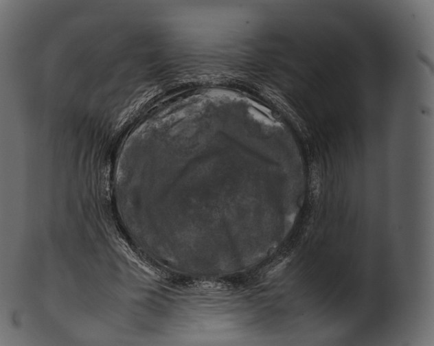 X0000100490585200807031918