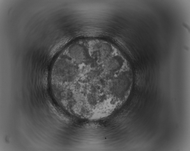 X0000100490586200807031918