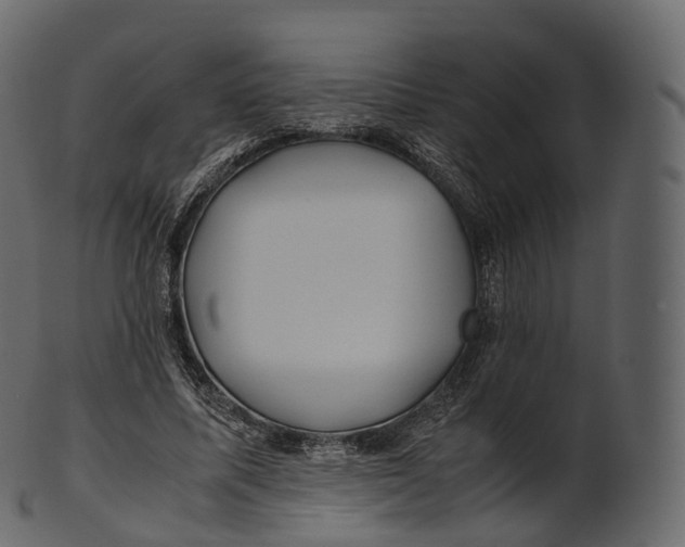 X0000100490587200807031918