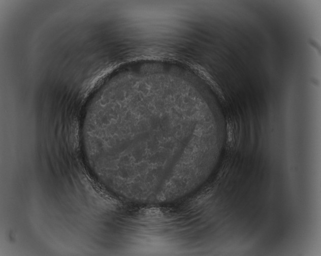 X0000100490588200807031918