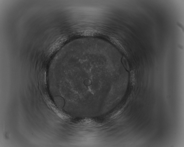 X0000100490589200807031918