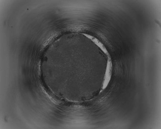 X0000100490590200807031918