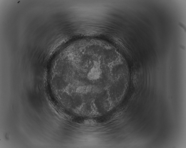 X0000100490591200807031918