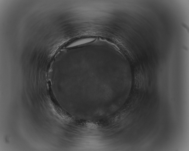 X0000100490592200807031918