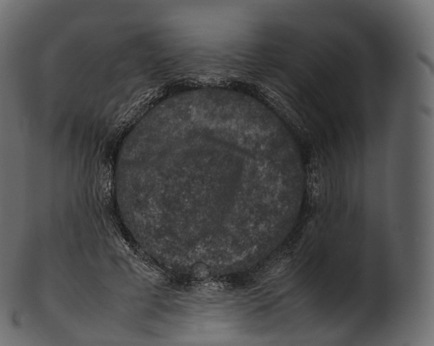 X0000100490593200807031918