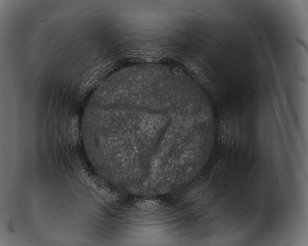 X0000100490594200807031918