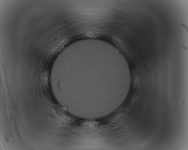 X0000100490595200807031918