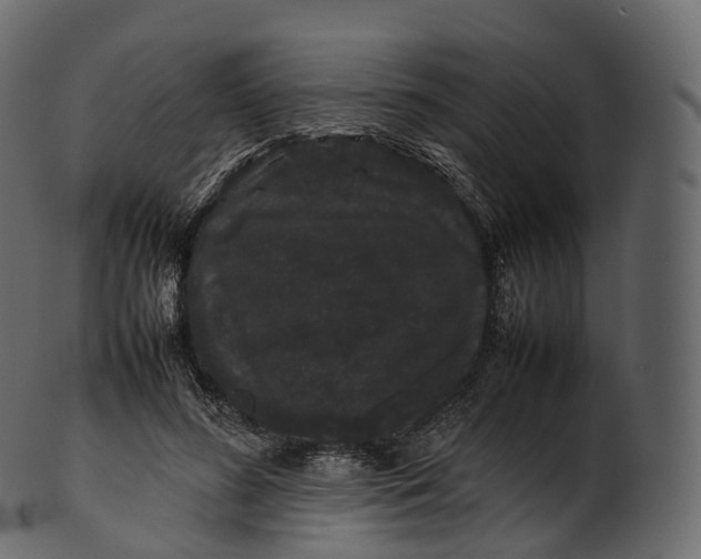 X0000100490596200807031918