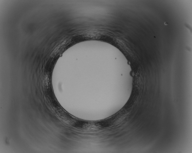 X0000100490597200807031918