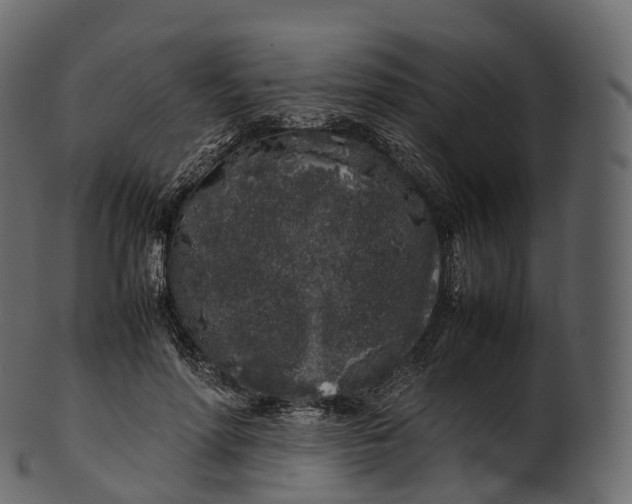 X0000100490598200807031918