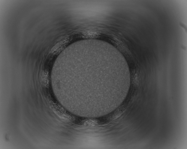 X0000100490599200807031918