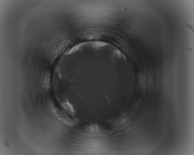 X0000100490600200807031918