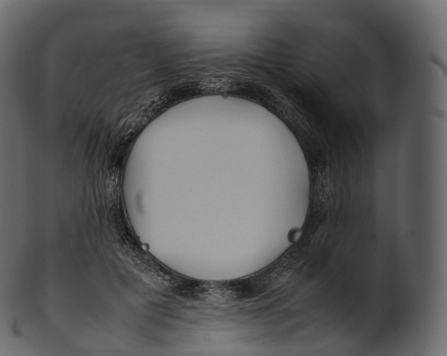 X0000100490601200807031918