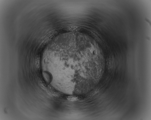 X0000100490602200807031918