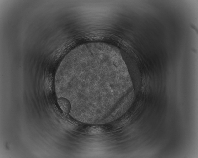 X0000100490604200807031918