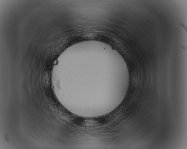 X0000100490605200807031918