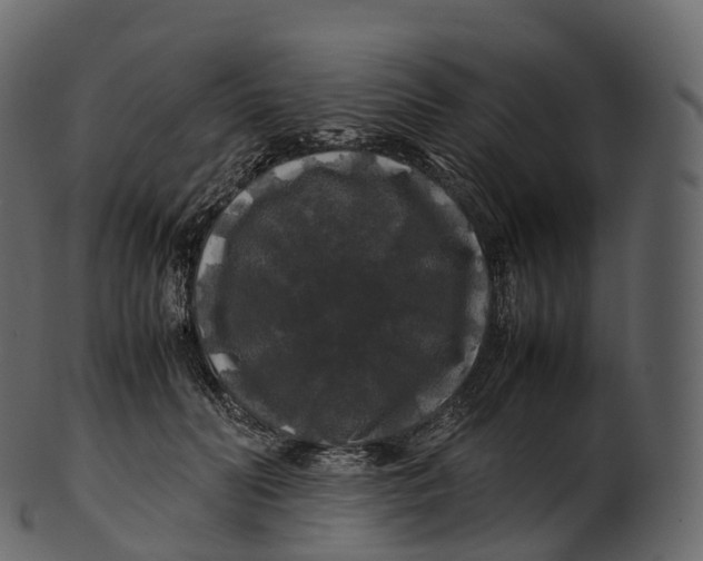 X0000100490606200807031918