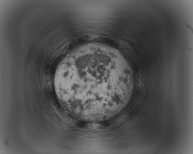 X0000100490607200807031918