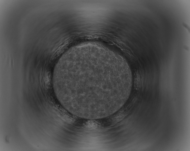 X0000100490608200807031918