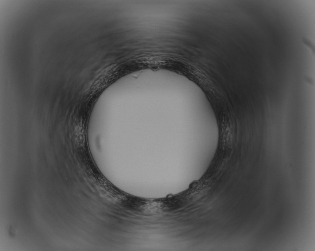 X0000100490609200807031918