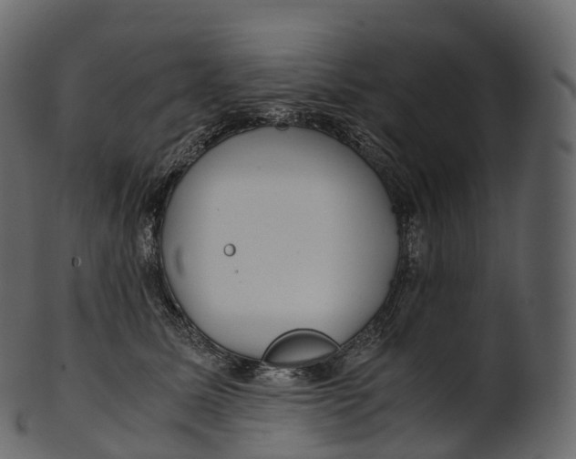 X0000100490611200807031918