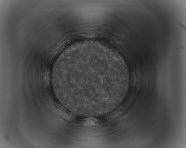 X0000100490612200807031918