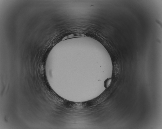 X0000100490613200807031918