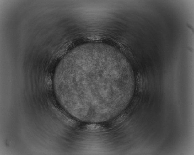 X0000100490614200807031918