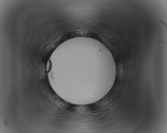 X0000100490615200807031918