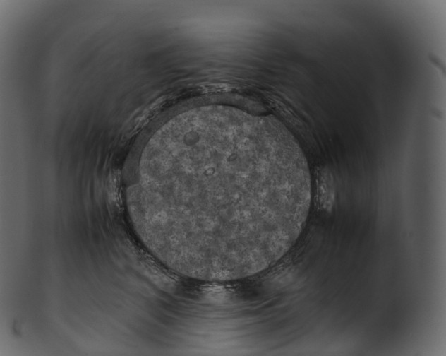 X0000100490616200807031918