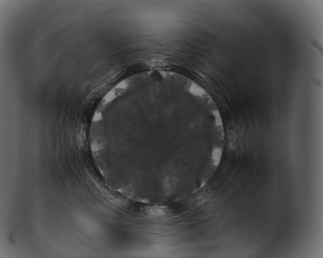 X0000100490618200807031918