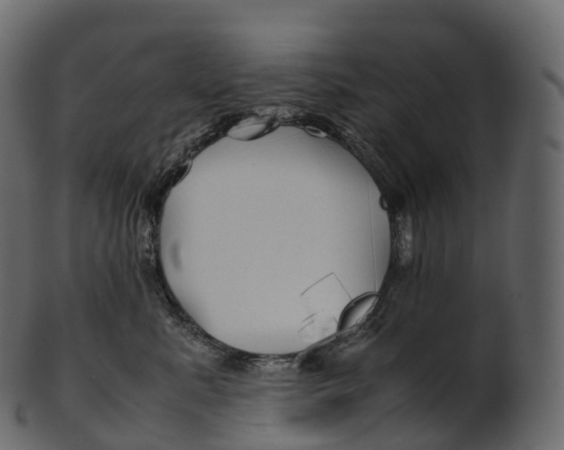 X0000100490619200807031918