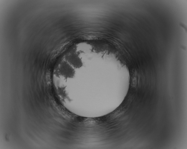 X0000100490620200807031918