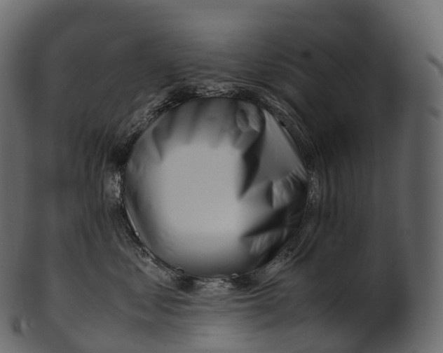 X0000100490621200807031918