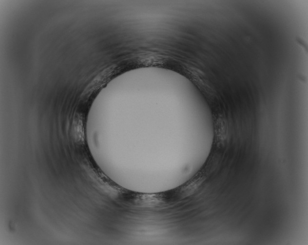 X0000100490622200807031917