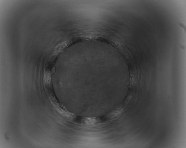 X0000100490623200807031917