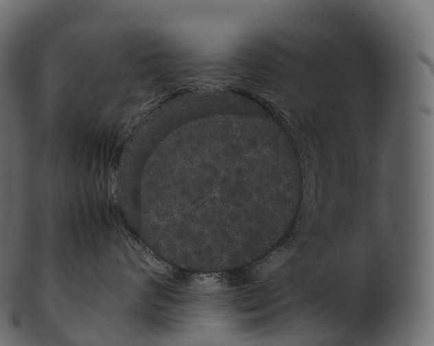 X0000100490624200807031917