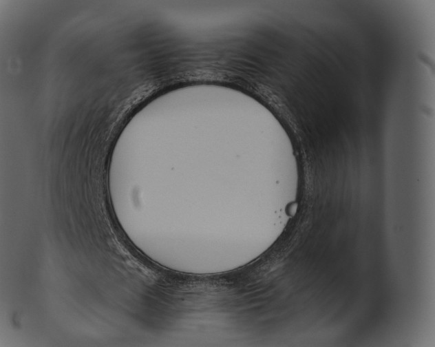 X0000100490625200807031917