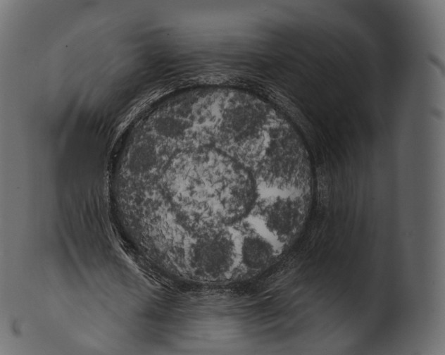 X0000100490626200807031917